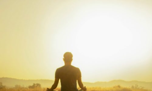 Trois jours de Vie dans la nature et méditation, du 11 au 13 août